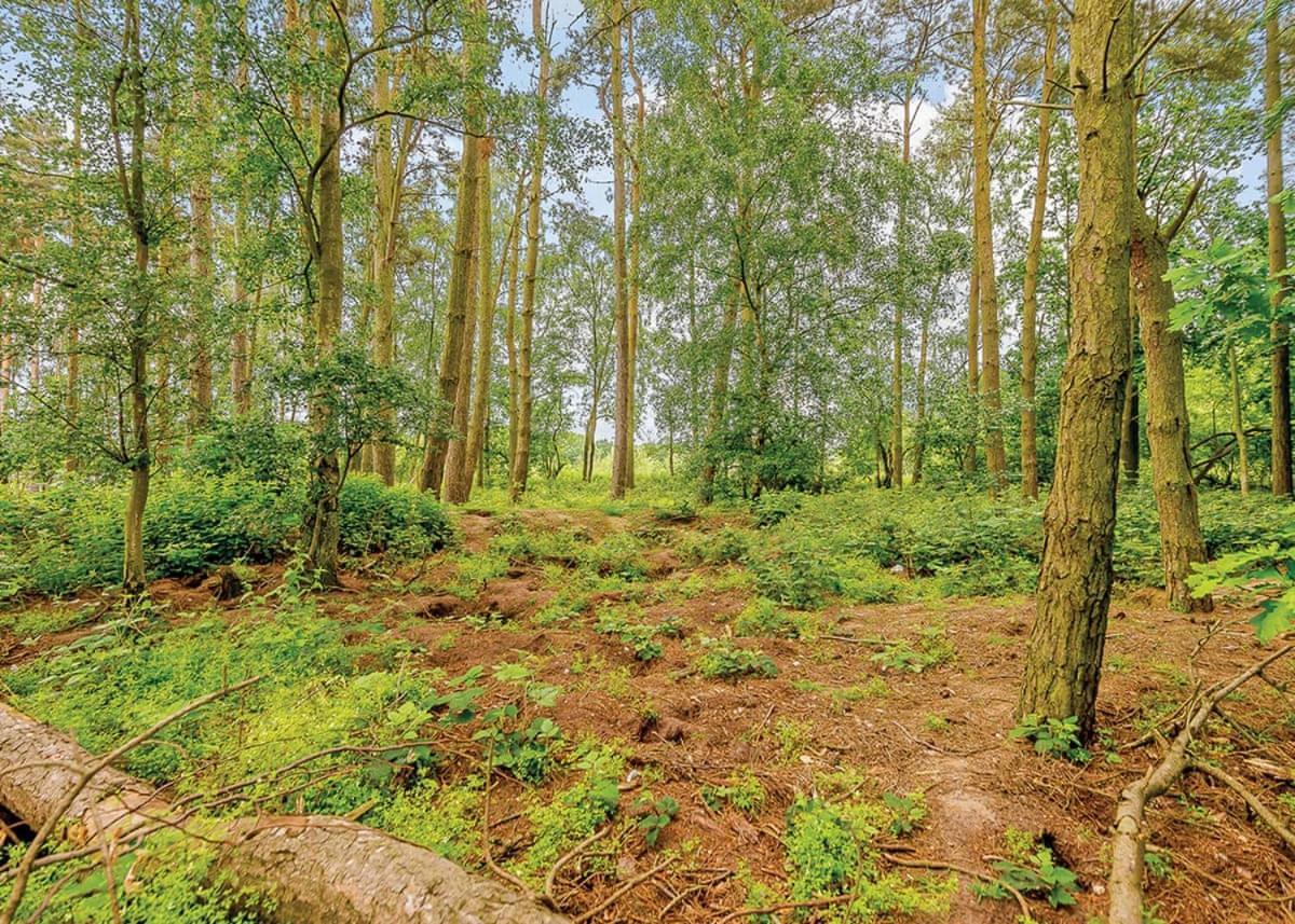 Woodhall Country Park Lodges Woodhall Spa Εξωτερικό φωτογραφία